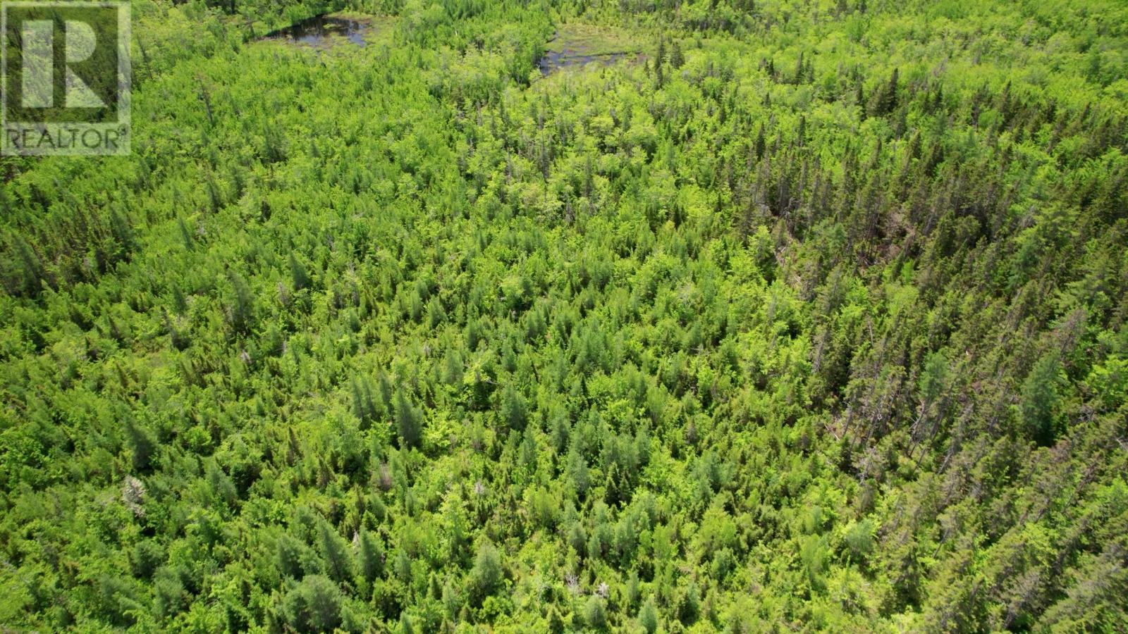 Acreage Port Hill Station Road, Tyne Valley, Prince Edward Island  C0B 2C0 - Photo 9 - 202415335