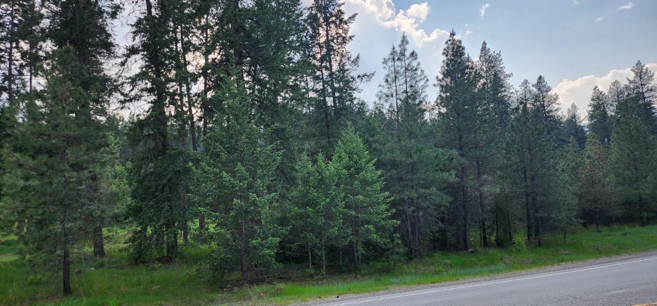 Parcel A Highway 395, Christina Lake, British Columbia  V0H 1E0 - Photo 15 - 2478084