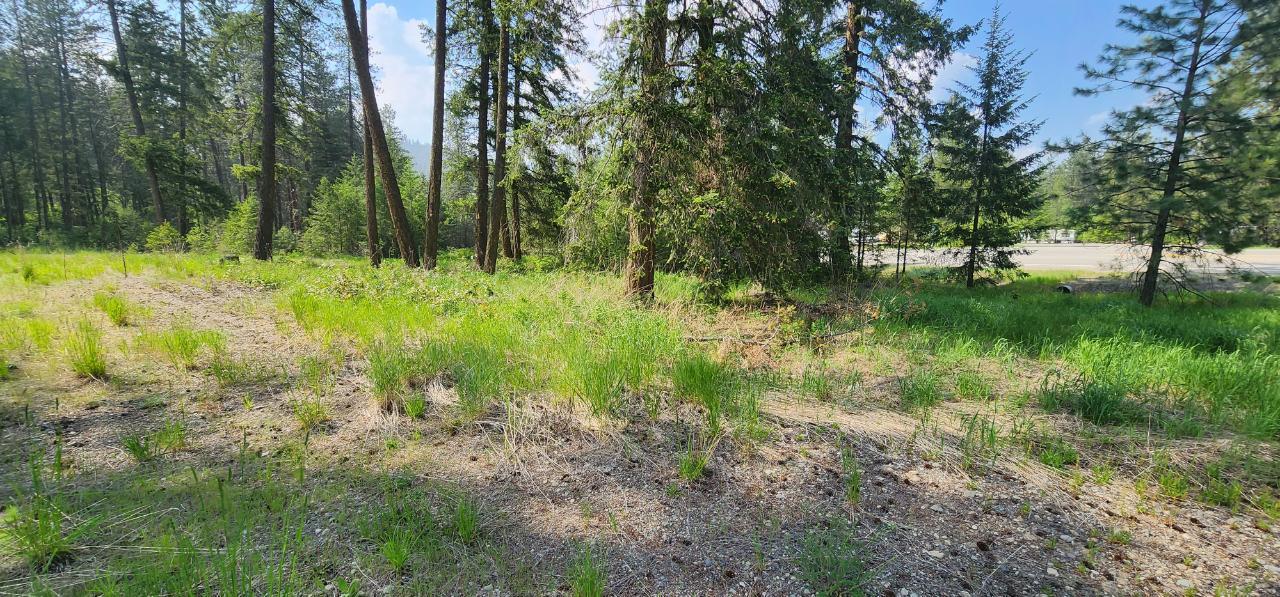 Parcel A Highway 395, Christina Lake, British Columbia  V0H 1E0 - Photo 2 - 2478084