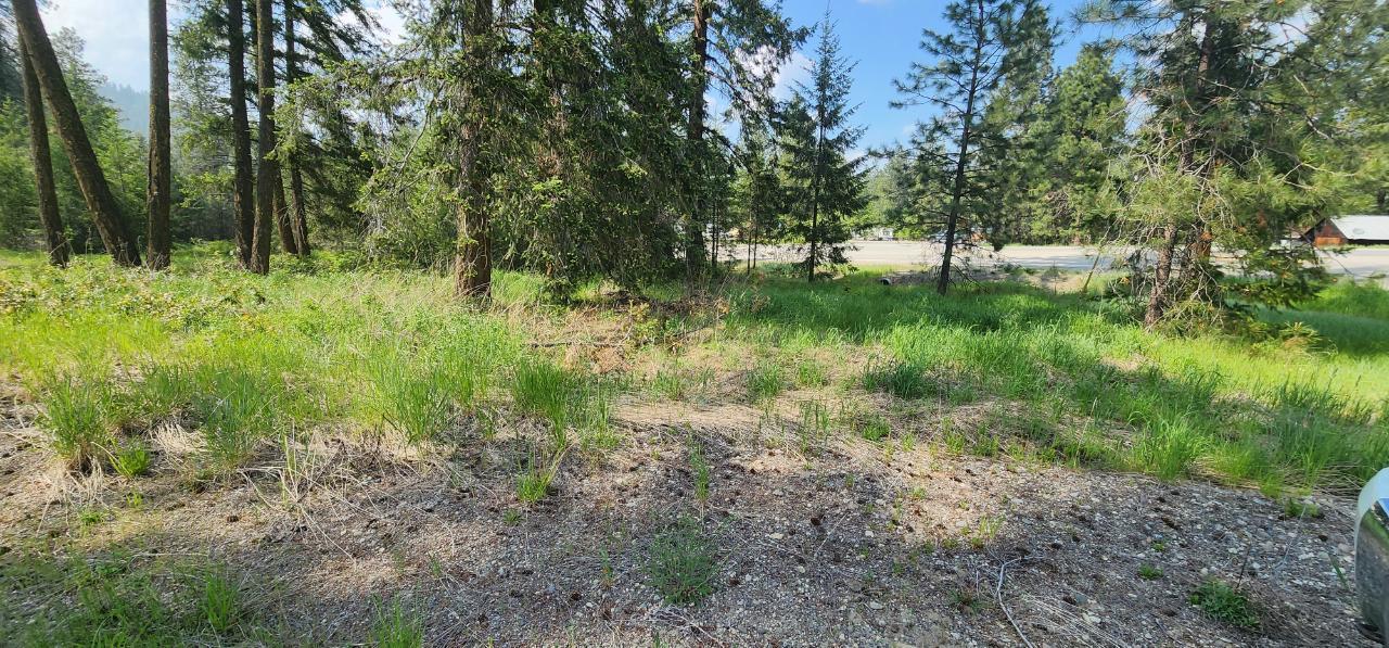 Parcel A Highway 395, Christina Lake, British Columbia  V0H 1E0 - Photo 3 - 2478084