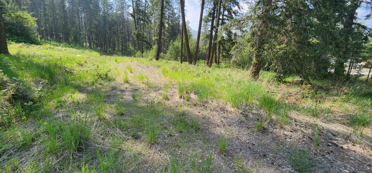 Parcel A Highway 395, Christina Lake, British Columbia  V0H 1E0 - Photo 4 - 2478084