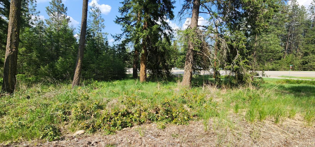 Parcel A Highway 395, Christina Lake, British Columbia  V0H 1E0 - Photo 6 - 2478084