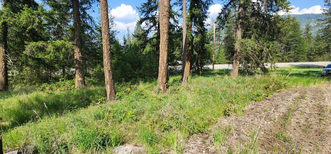 Parcel A Highway 395, Christina Lake, British Columbia  V0H 1E0 - Photo 7 - 2478084