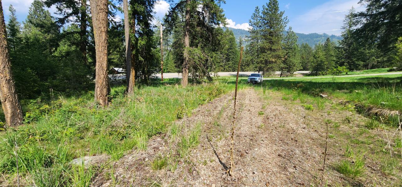 Parcel A Highway 395, Christina Lake, British Columbia  V0H 1E0 - Photo 9 - 2478084