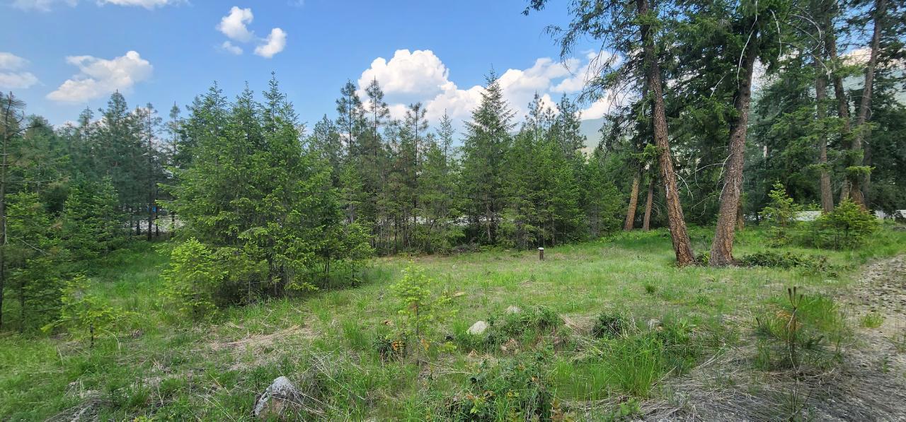 Lot 2 Highway 395, Christina Lake, British Columbia  V0H 1E0 - Photo 10 - 2478085