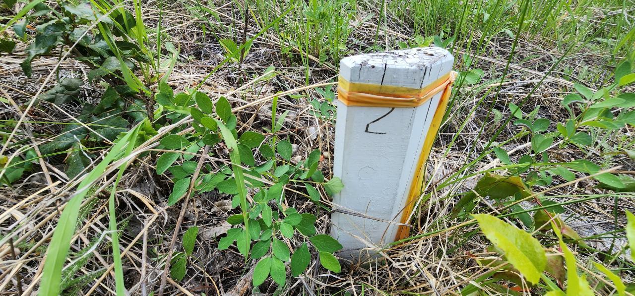 Lot 2 Highway 395, Christina Lake, British Columbia  V0H 1E0 - Photo 11 - 2478085