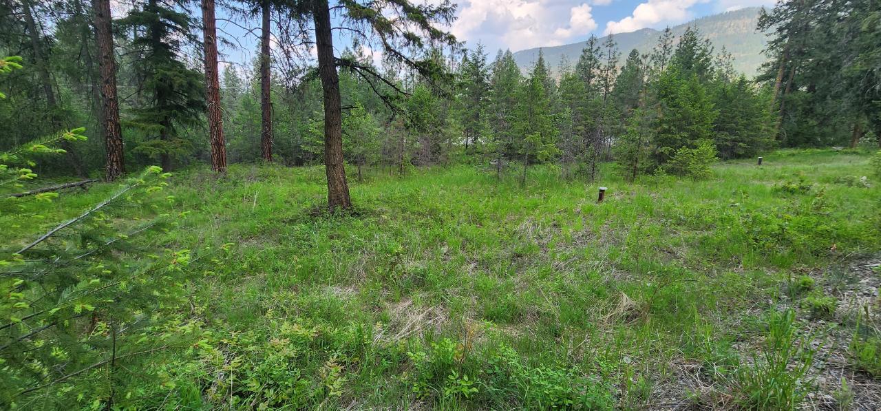 Lot 2 Highway 395, Christina Lake, British Columbia  V0H 1E0 - Photo 12 - 2478085