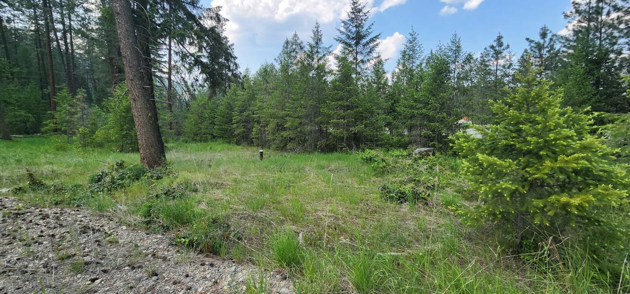 Lot 2 Highway 395, Christina Lake, British Columbia  V0H 1E0 - Photo 3 - 2478085