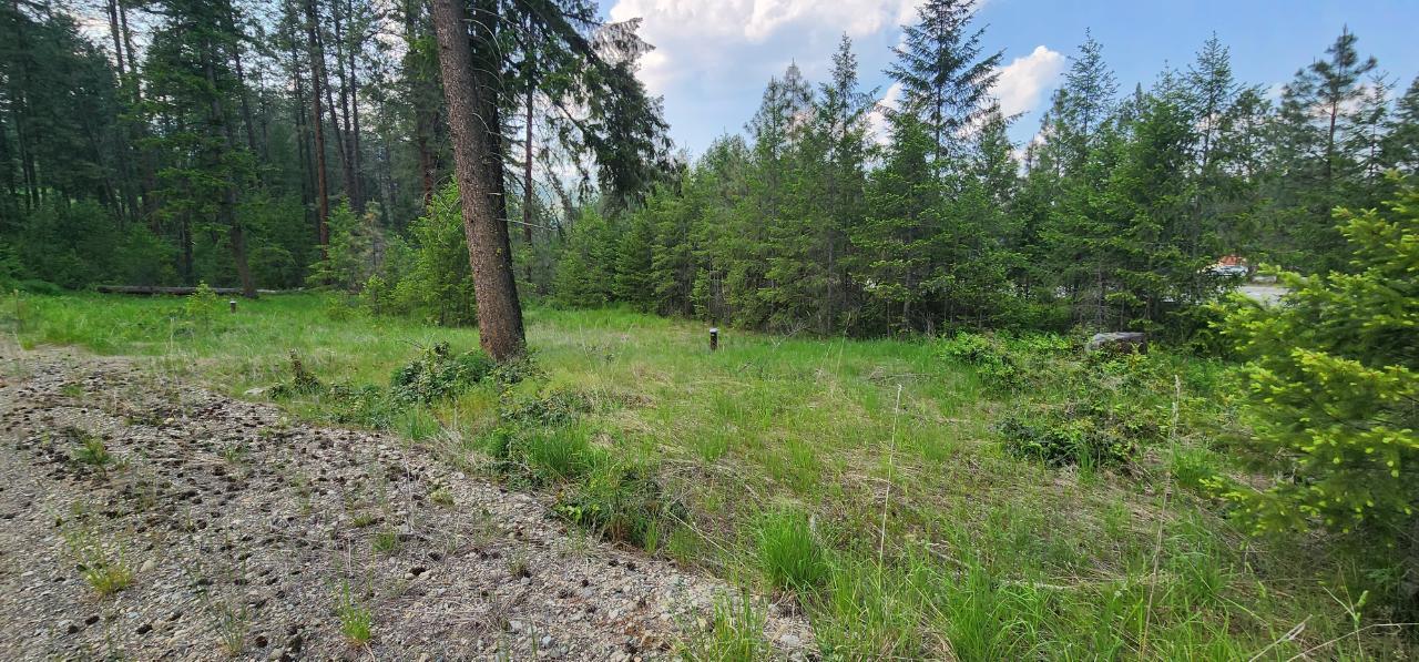 Lot 2 Highway 395, Christina Lake, British Columbia  V0H 1E0 - Photo 4 - 2478085