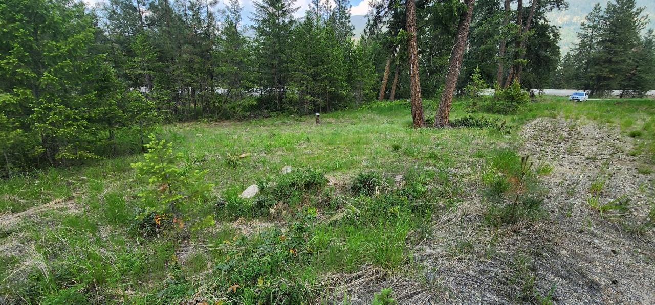 Lot 2 Highway 395, Christina Lake, British Columbia  V0H 1E0 - Photo 5 - 2478085