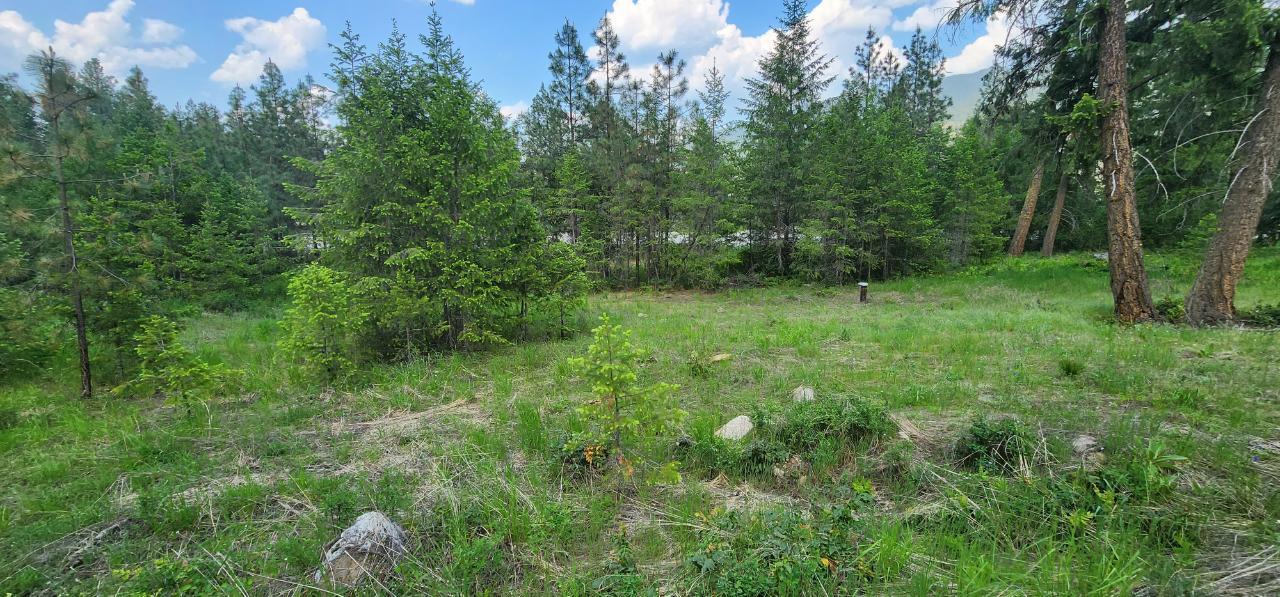 Lot 2 Highway 395, Christina Lake, British Columbia  V0H 1E0 - Photo 6 - 2478085