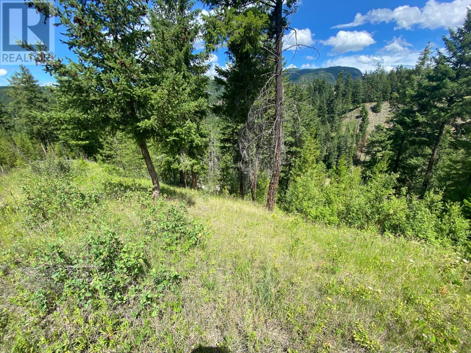 4940 Birch Lane, Barriere, British Columbia  V0E 1E0 - Photo 13 - 179565