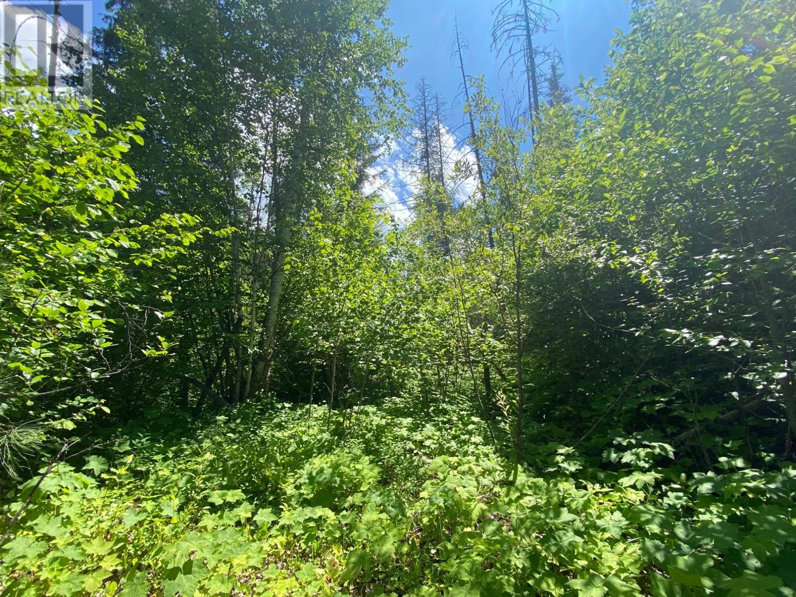 4940 Birch Lane, Barriere, British Columbia  V0E 1E0 - Photo 32 - 179565