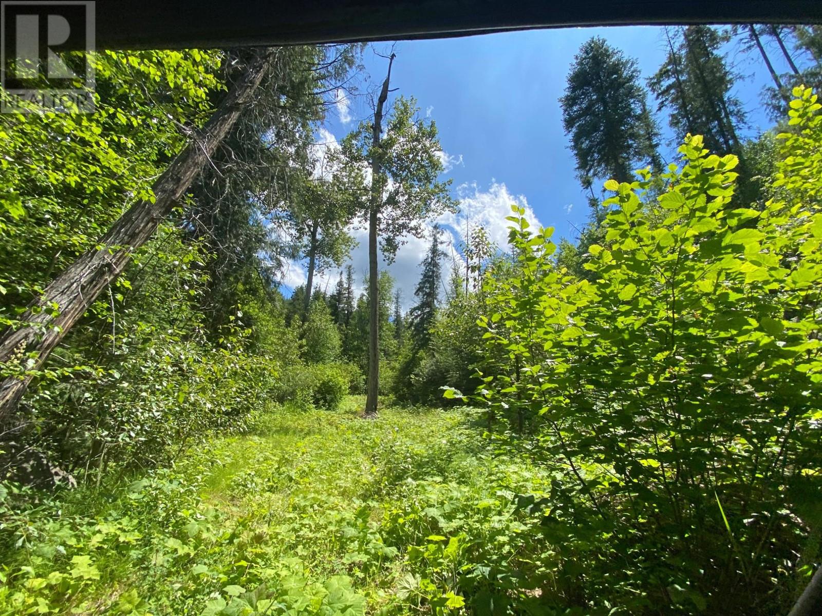 4940 Birch Lane, Barriere, British Columbia  V0E 1E0 - Photo 33 - 179565