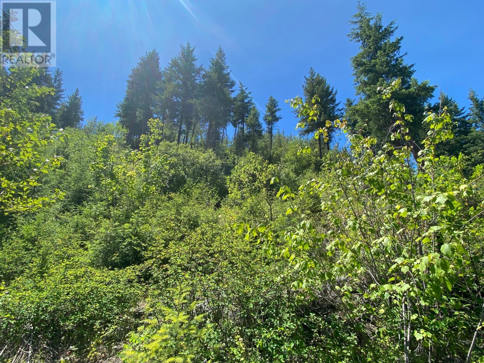 4940 Birch Lane, Barriere, British Columbia  V0E 1E0 - Photo 40 - 179565