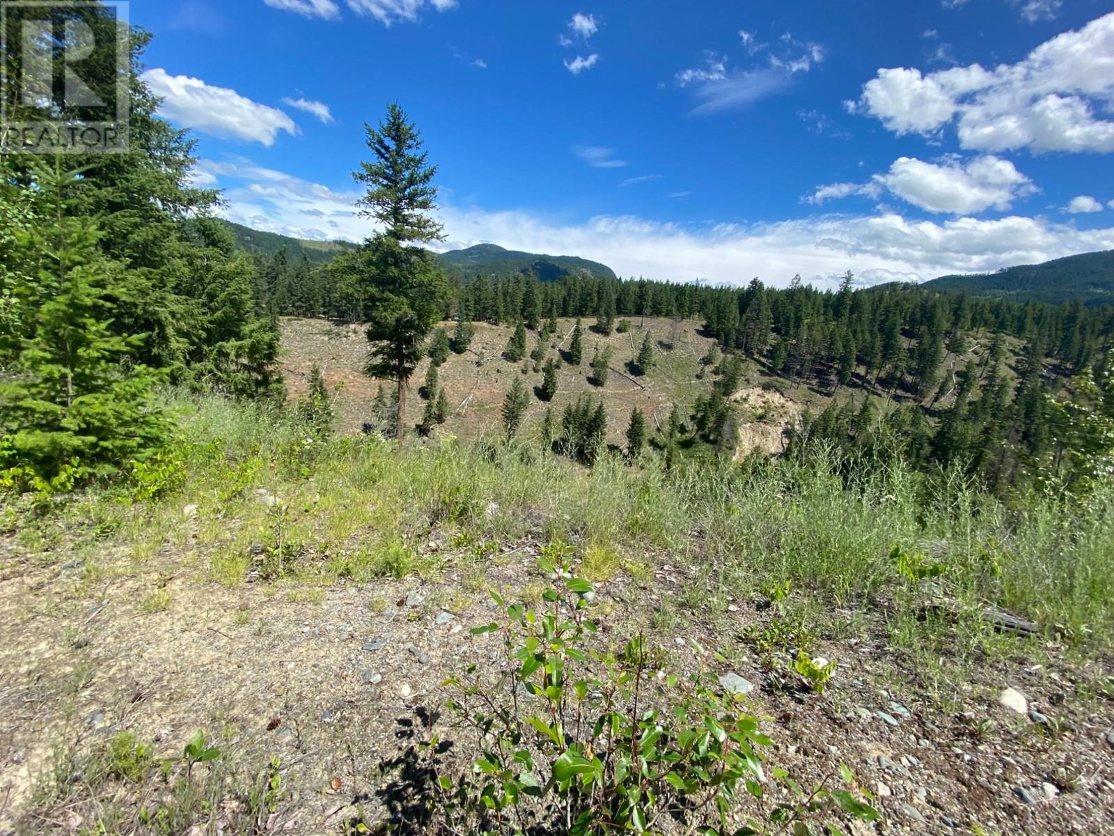 4940 Birch Lane, Barriere, British Columbia  V0E 1E0 - Photo 56 - 179565