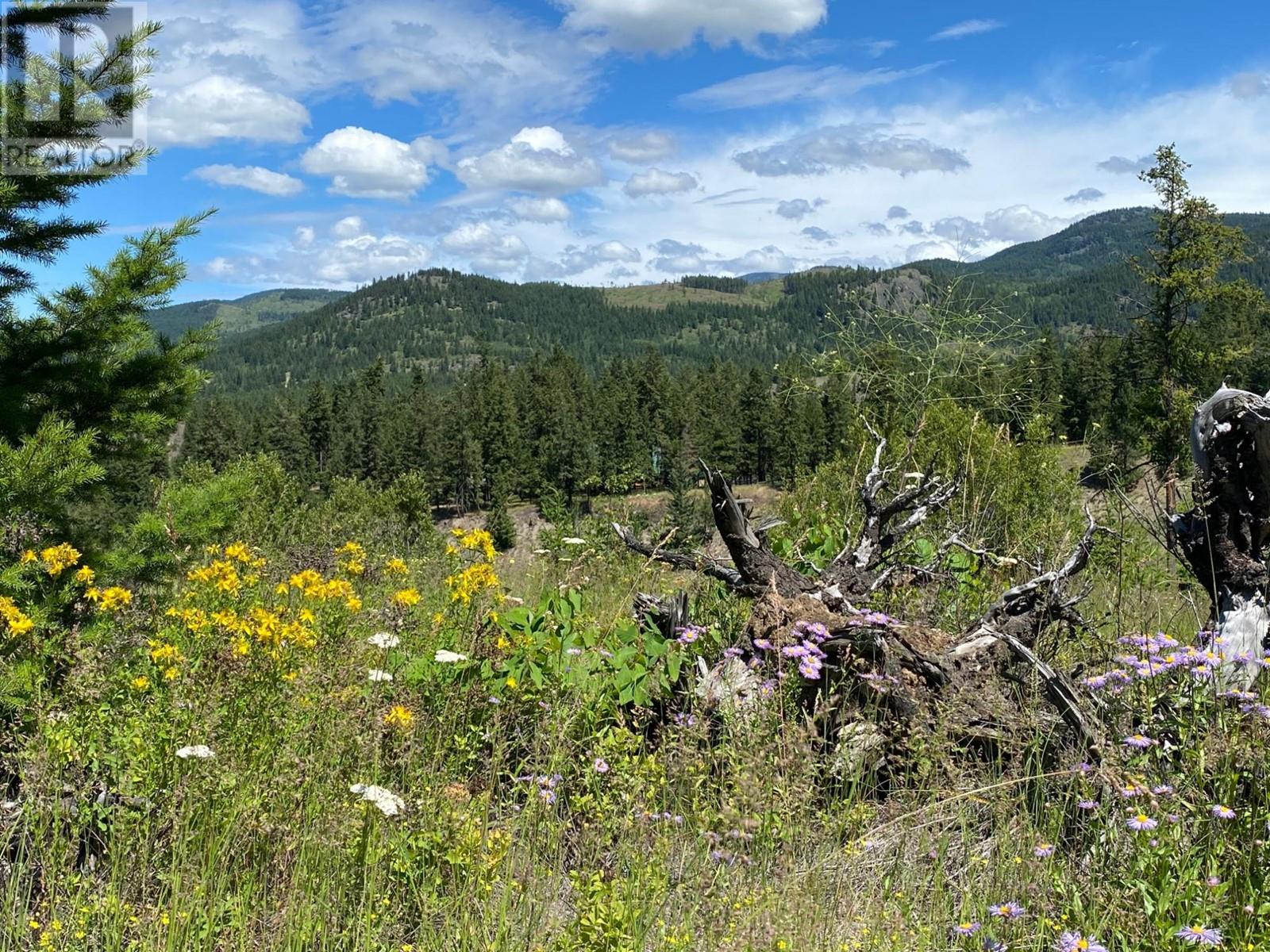 4940 Birch Lane, Barriere, British Columbia  V0E 1E0 - Photo 61 - 179565
