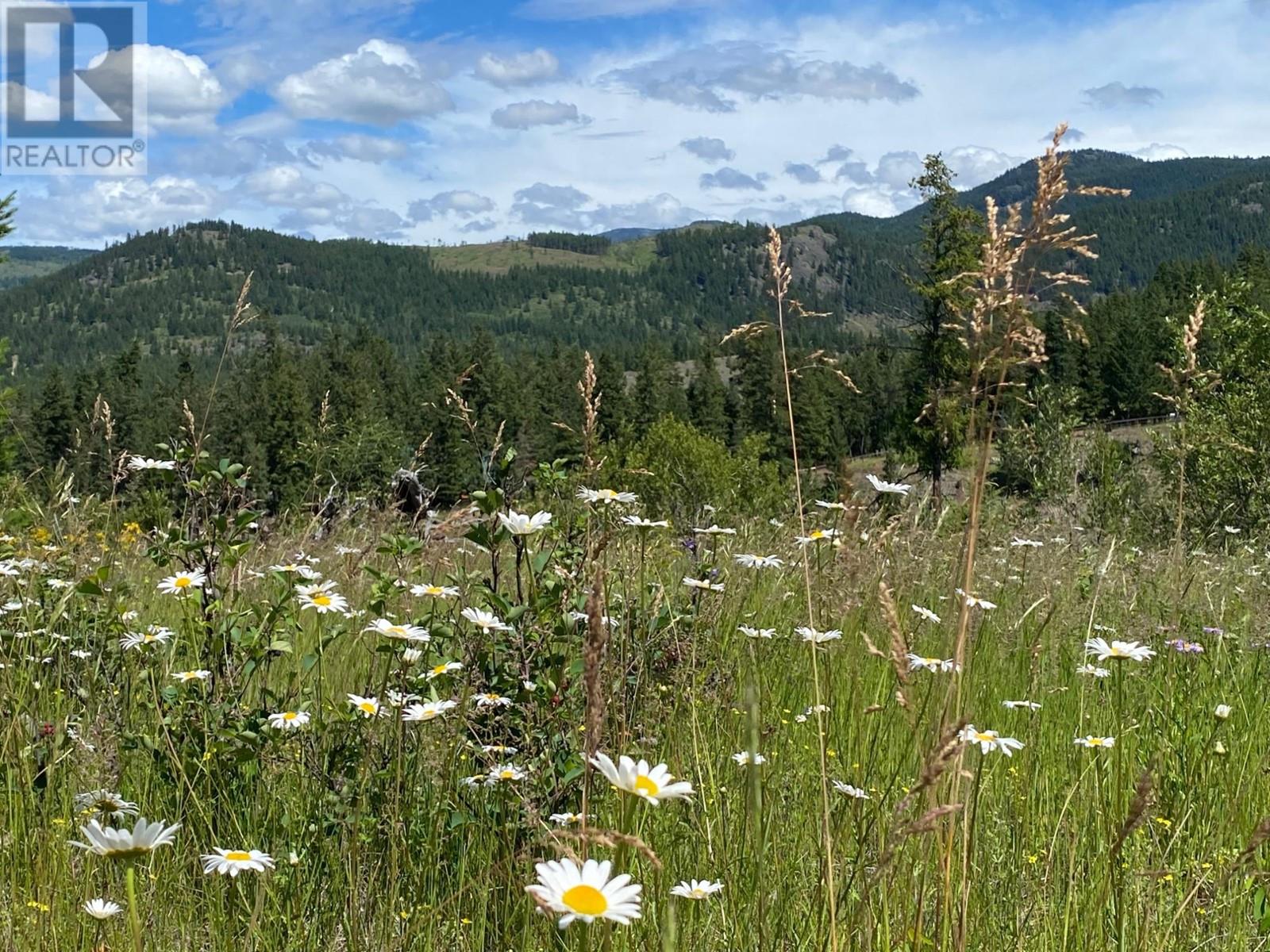 4940 Birch Lane, Barriere, British Columbia  V0E 1E0 - Photo 63 - 179565