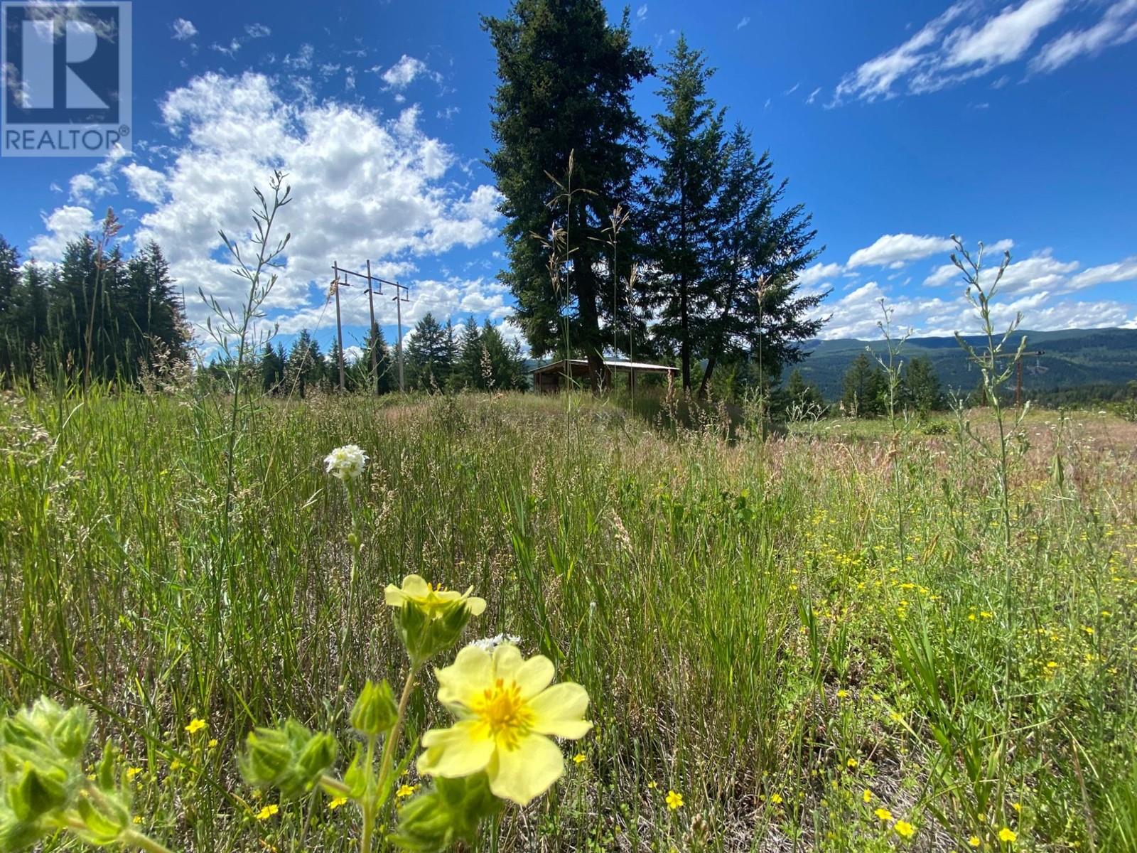 4940 Birch Lane, Barriere, British Columbia  V0E 1E0 - Photo 9 - 179565