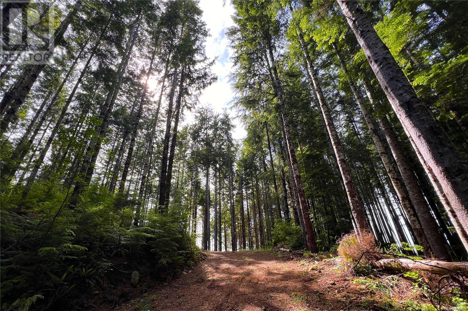 Lot 50 Murrelet Close, Sooke, British Columbia  V9Z 1K2 - Photo 6 - 968586