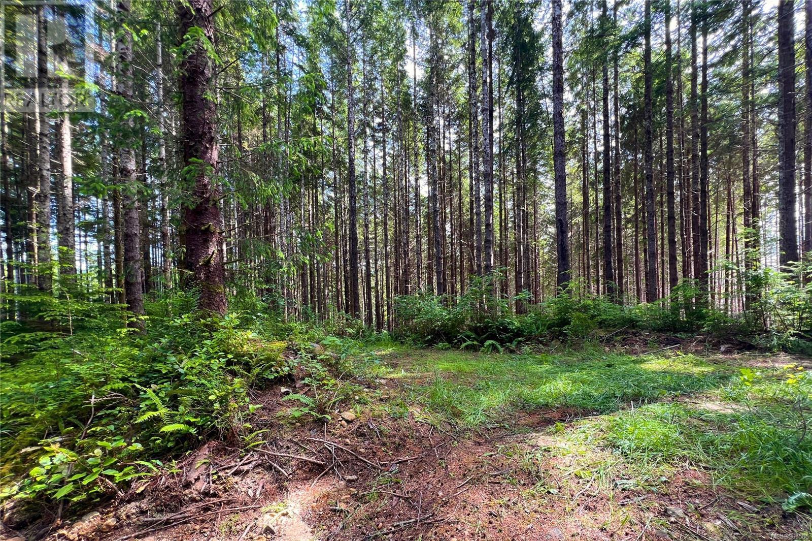 Lot 50 Murrelet Close, Sooke, British Columbia  V9Z 1K2 - Photo 8 - 968586