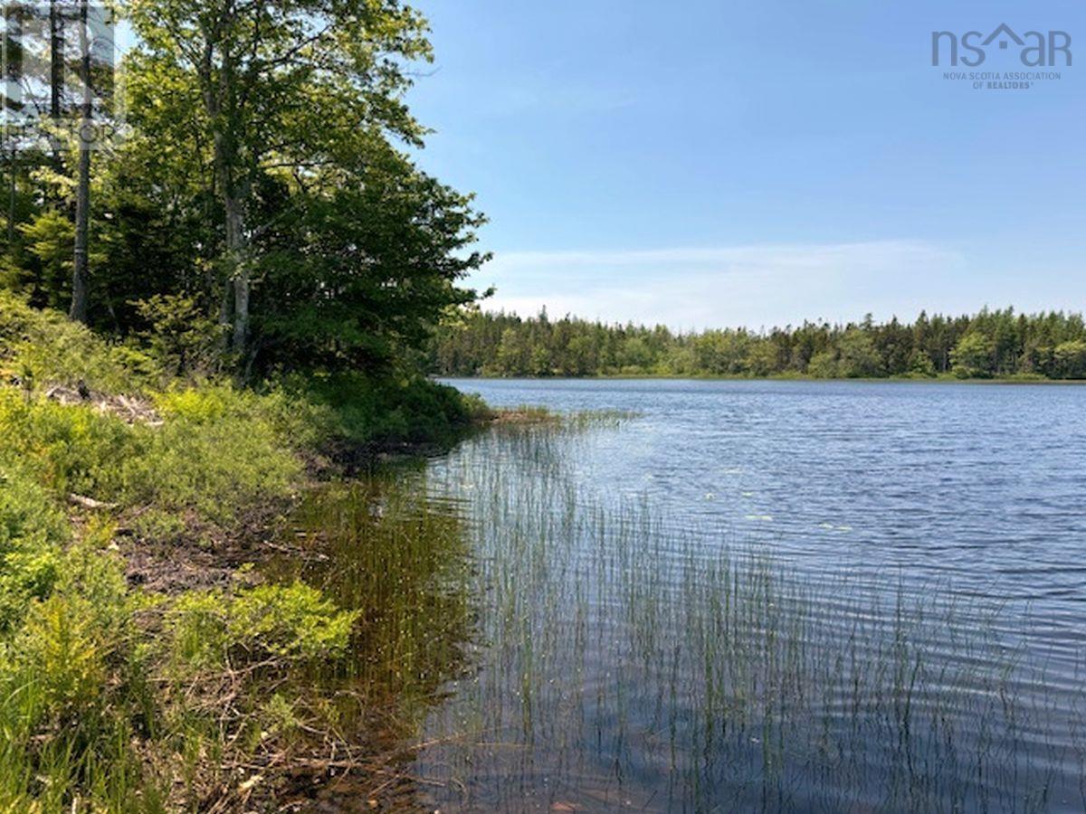 Lot 4 Grandique Road, Arichat, Nova Scotia  B0E 1K0 - Photo 26 - 202409283