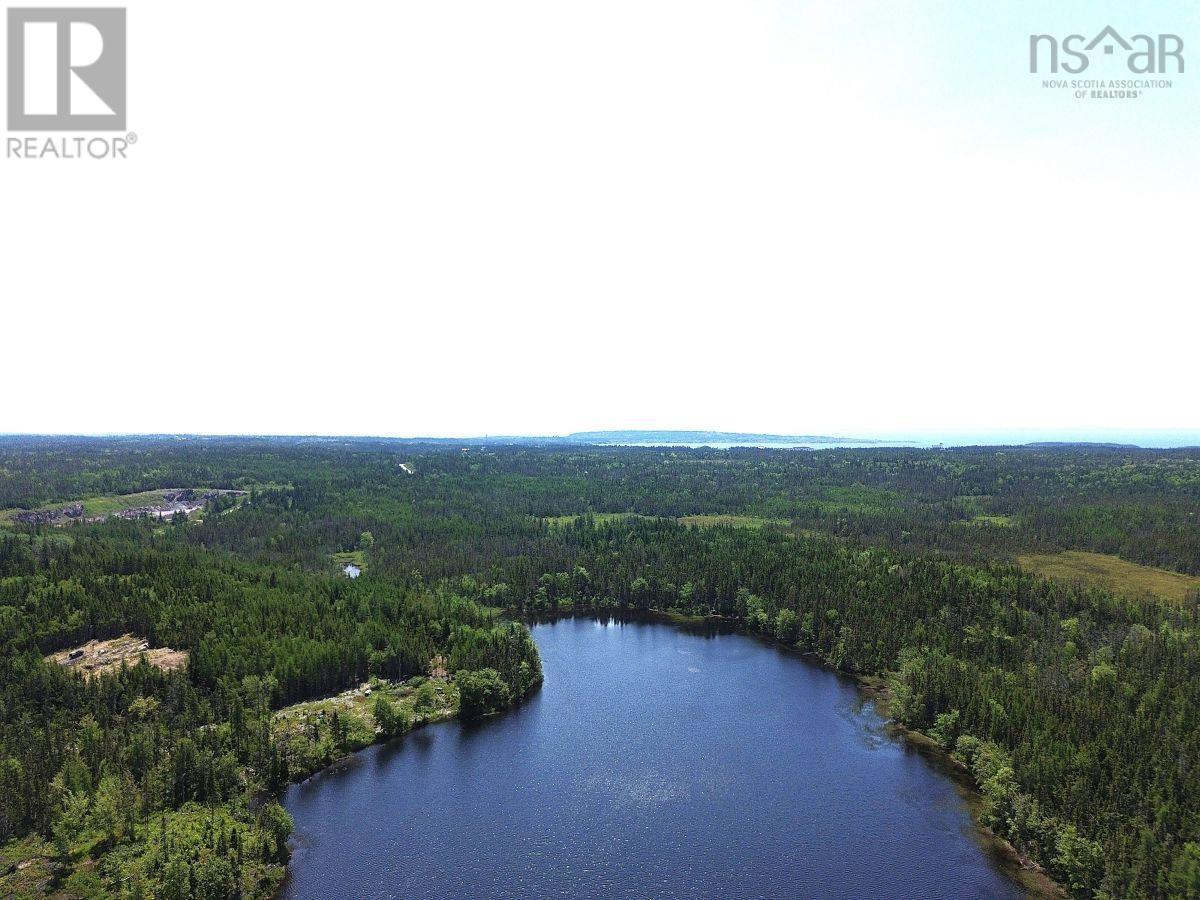 Lot 4 Grandique Road, Arichat, Nova Scotia  B0E 1K0 - Photo 6 - 202409283