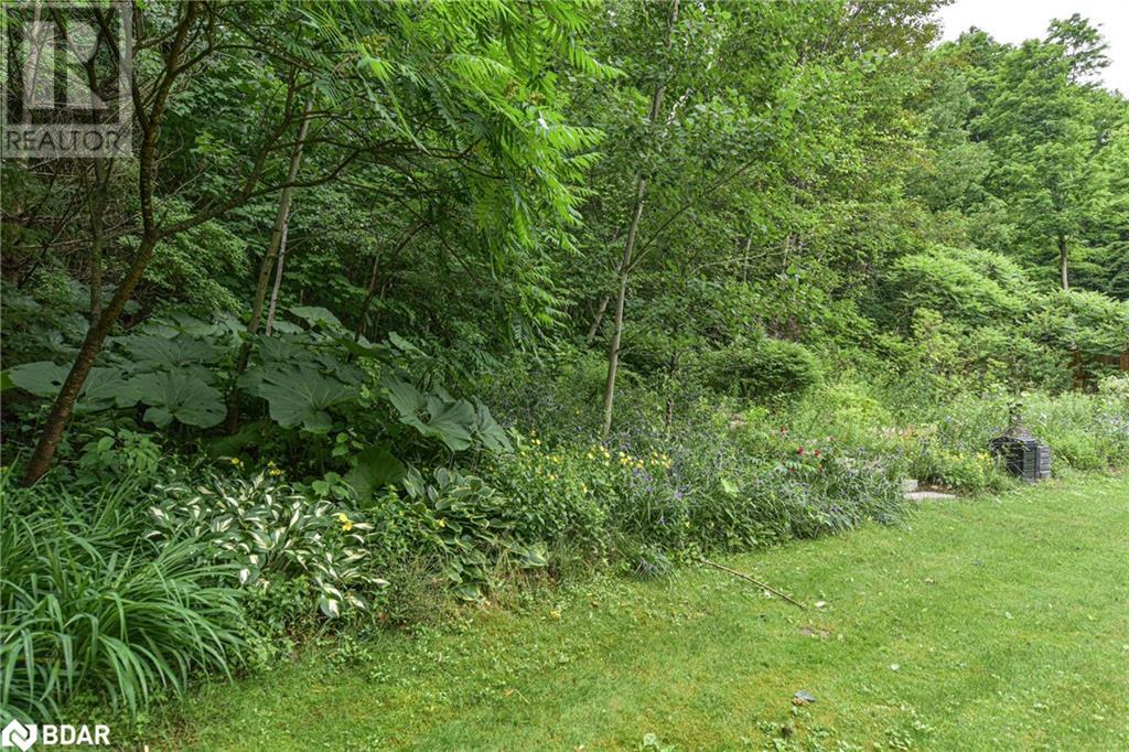 3330 N Line 6 North Line, Simcoe, Ontario  L0K 1E0 - Photo 12 - 40613726