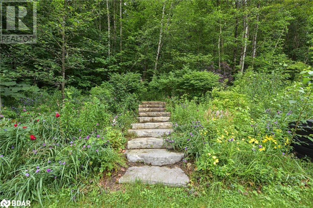 3330 N Line 6 North Line, Simcoe, Ontario  L0K 1E0 - Photo 13 - 40613726