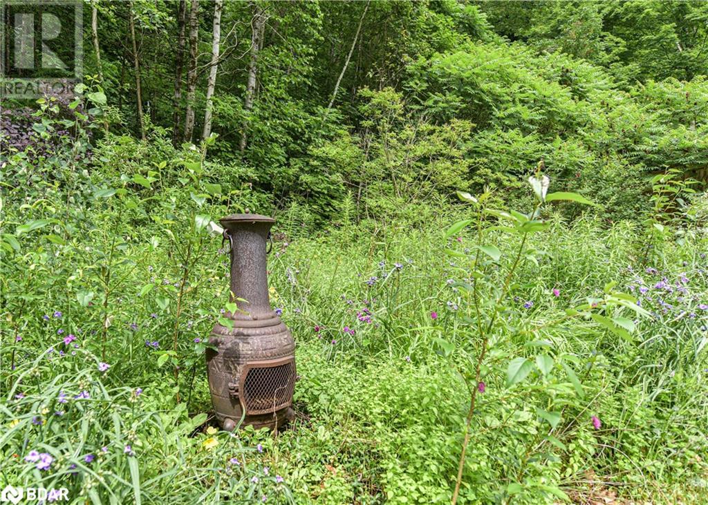 3330 N Line 6 North Line, Simcoe, Ontario  L0K 1E0 - Photo 14 - 40613726