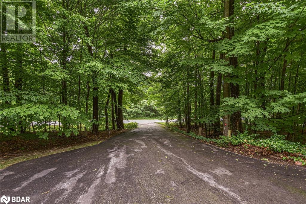 3330 N Line 6 North Line, Simcoe, Ontario  L0K 1E0 - Photo 2 - 40613726