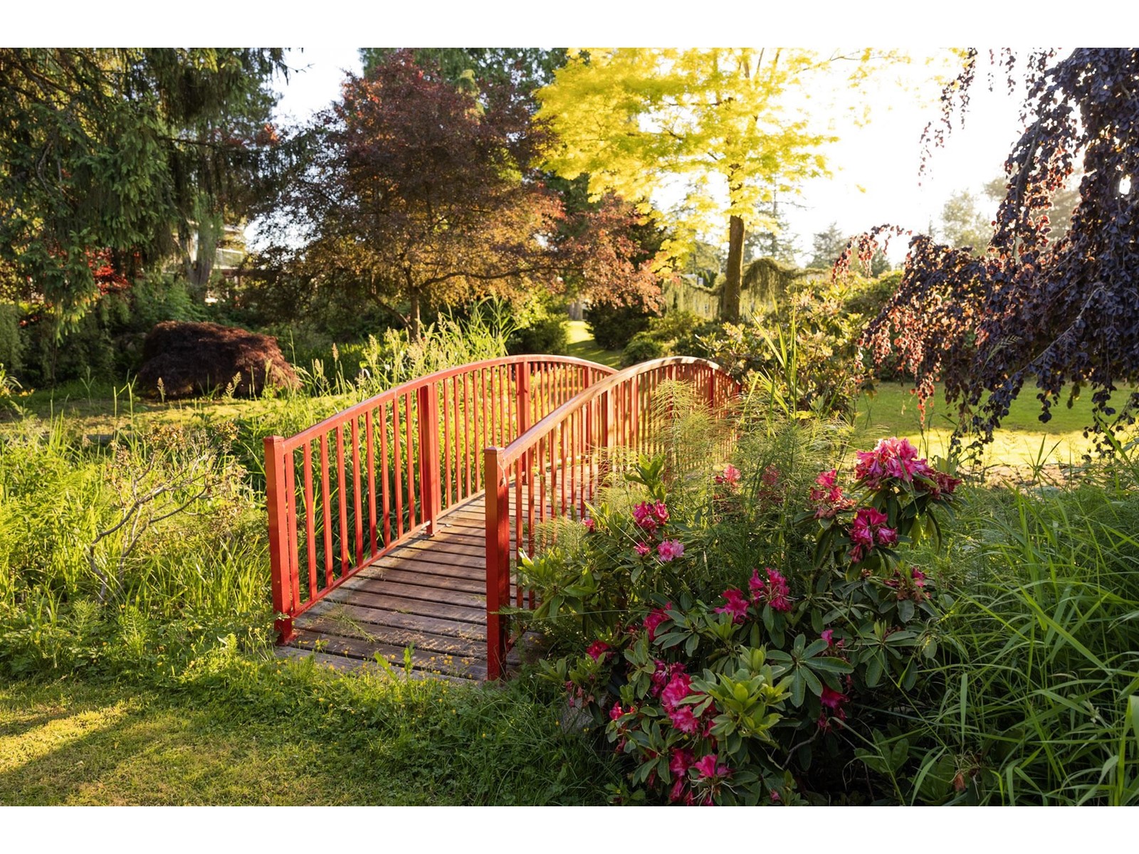 18171 29a Avenue, Surrey, British Columbia  V3Z 9V2 - Photo 6 - R2900242