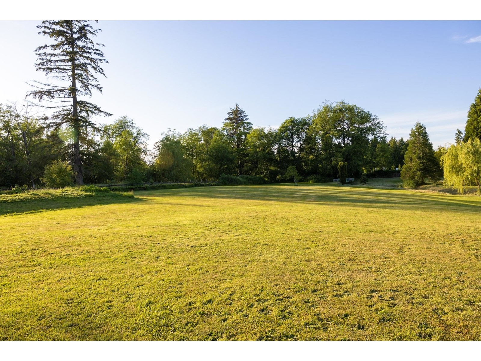18171 29a Avenue, Surrey, British Columbia  V3Z 9V2 - Photo 7 - R2900242