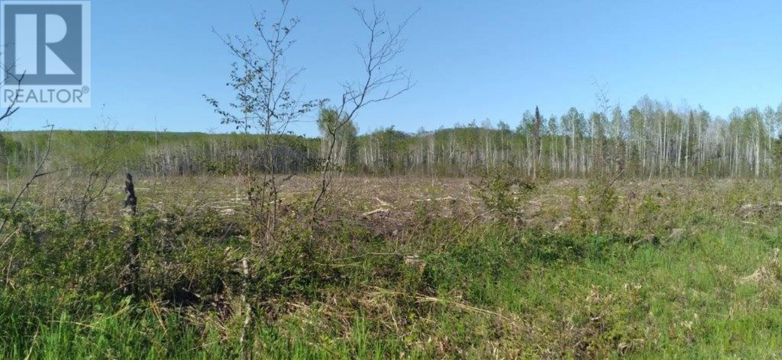 Part 1 Larson Road, Neebing, Ontario  P7L 0A4 - Photo 19 - TB241907