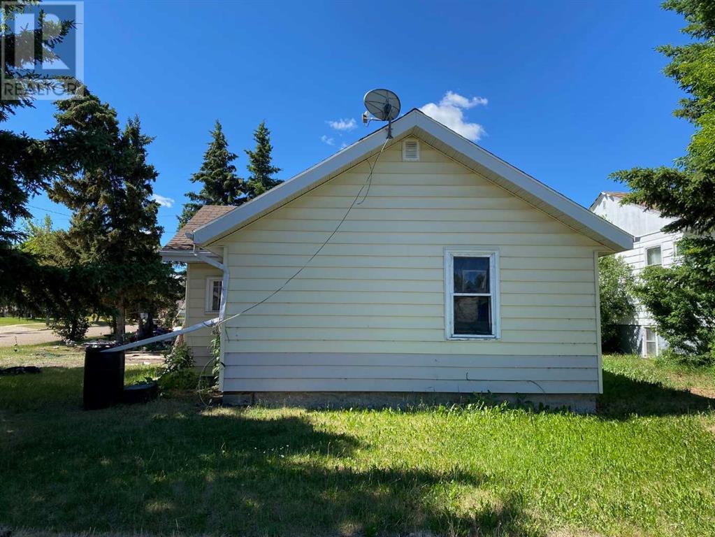 4704 49 Street, Forestburg, Alberta  T0B 1N0 - Photo 3 - A2145542