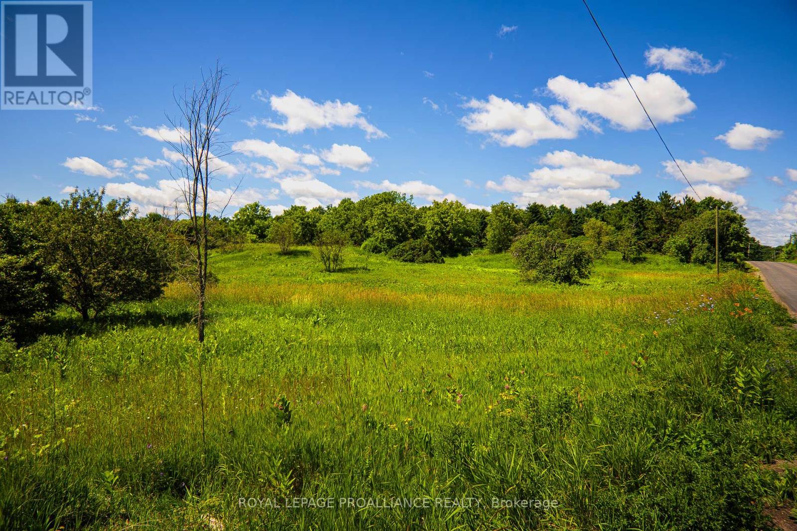 0 Old Marmora-Pcl A,c,d Road, Centre Hastings, Ontario  K0K 2K0 - Photo 16 - X8413158