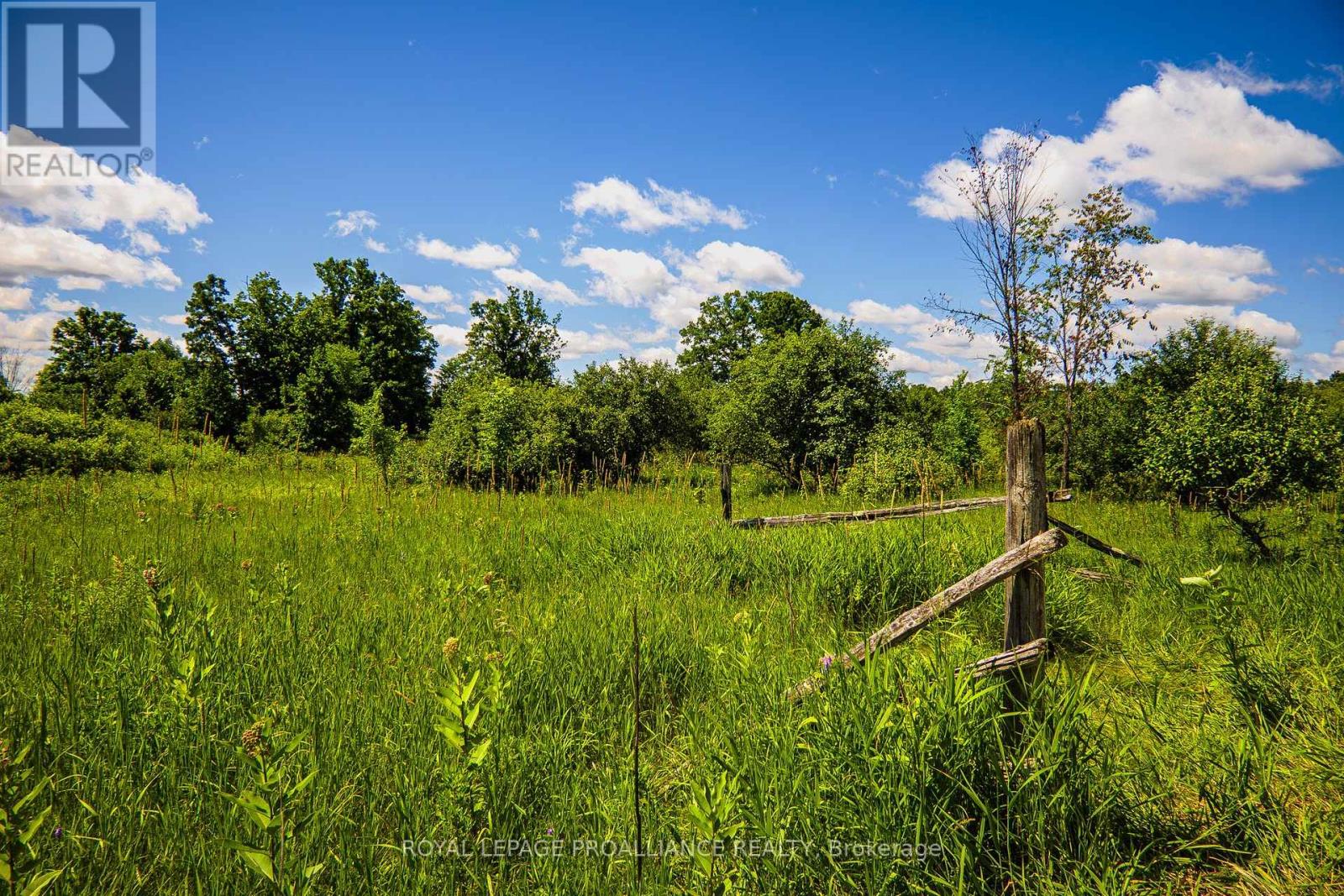 0 Old Marmora-Pcl A,c,d Road, Centre Hastings, Ontario  K0K 2K0 - Photo 17 - X8413158