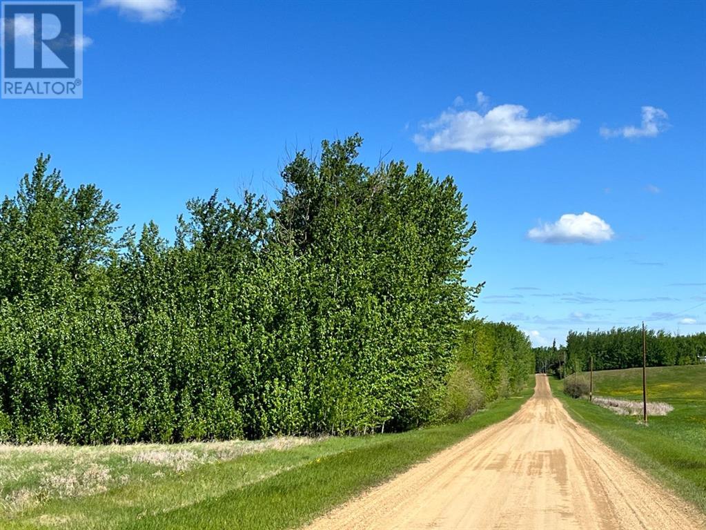 Lorem Ipsum Dolor Si, Plamondon, Alberta  T0A  - Photo 5 - DEMO27001927