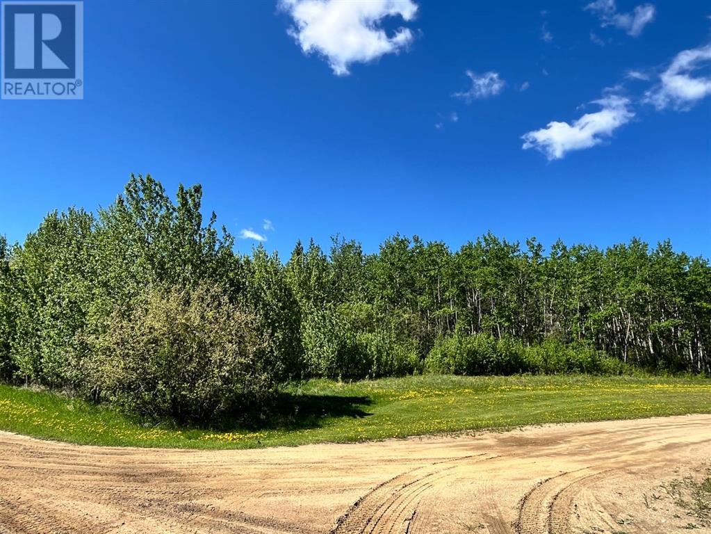 Lorem Ipsum Dolor Si, Plamondon, Alberta  T0A  - Photo 1 - DEMO27001927