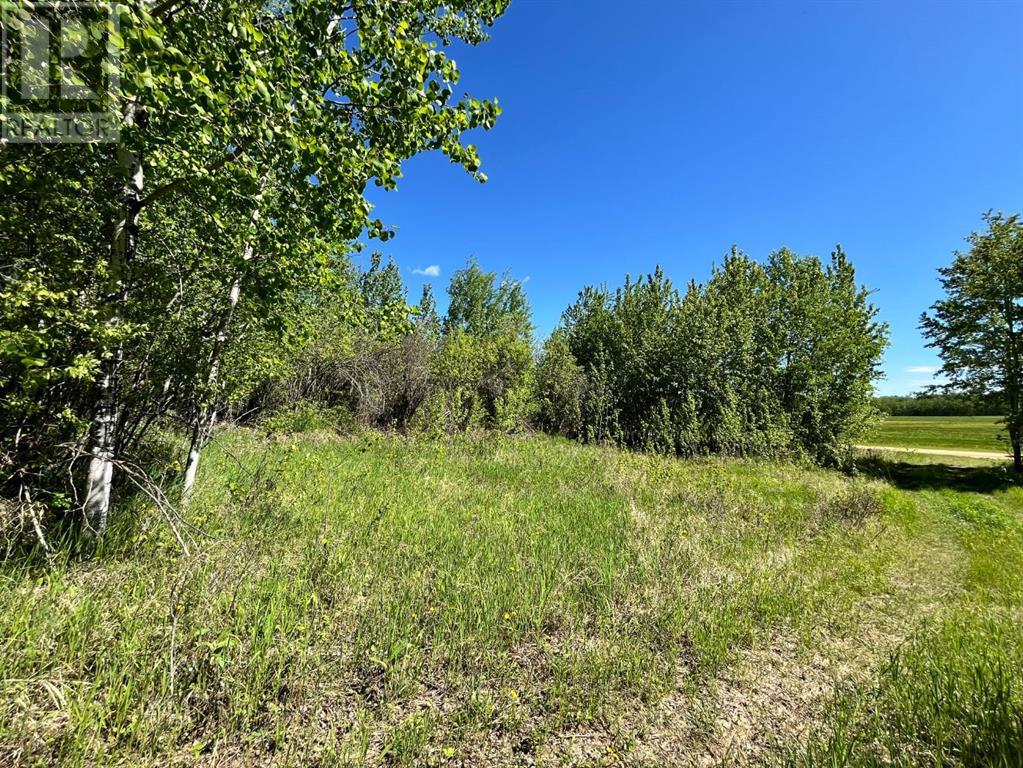 Lorem Ipsum Dolor Si, Plamondon, Alberta  T0A  - Photo 3 - DEMO27001927