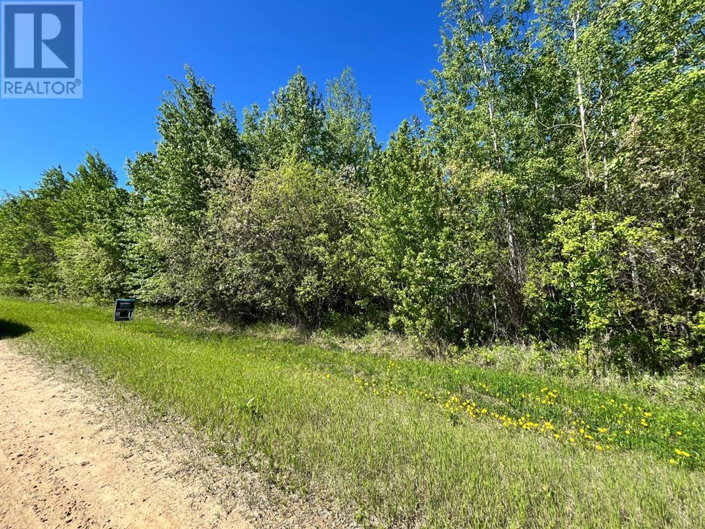 Lorem Ipsum Dolor Si, Plamondon, Alberta  T0A  - Photo 4 - DEMO27001927