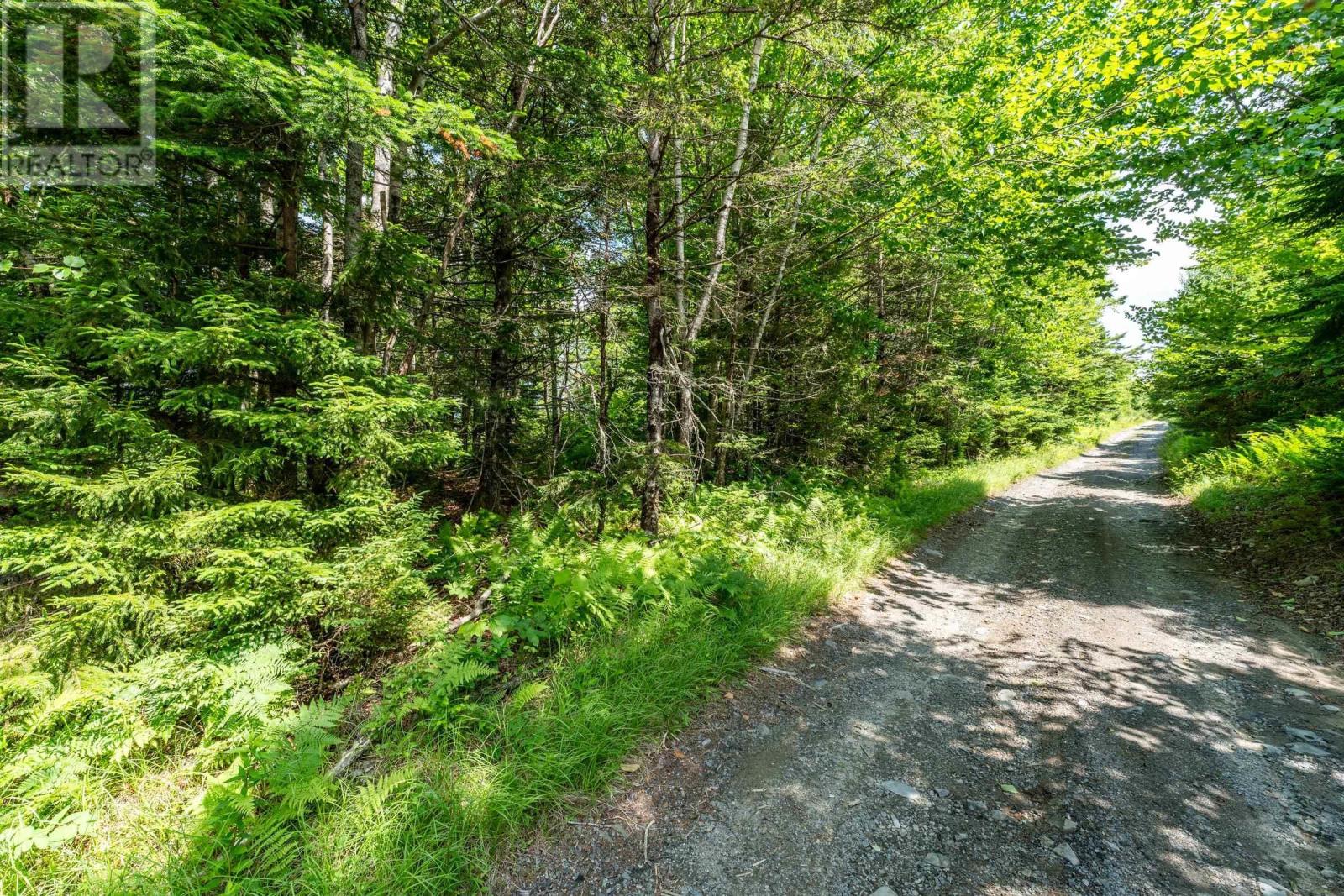 Lot Felix Road, Mayflower, Nova Scotia  B0W 2Y0 - Photo 12 - 202415548