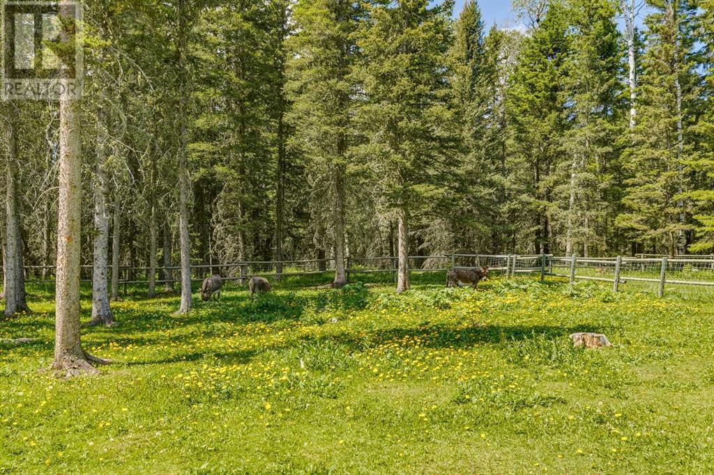 360123 214 Avenue W, Rural Foothills County, Alberta  T0L 0K0 - Photo 41 - A2141931