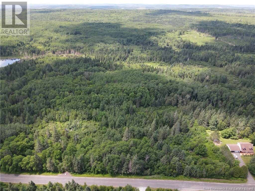 Lot Drurys Cove Road, Ratter Corner, New Brunswick  E4E 3L2 - Photo 4 - NB094742