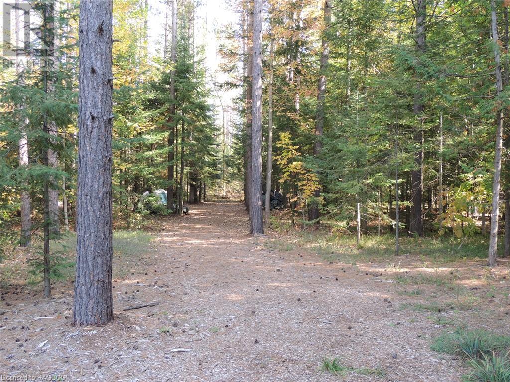 796331 East Back Line, Berkeley, Ontario  N0H 1C0 - Photo 16 - 40614846