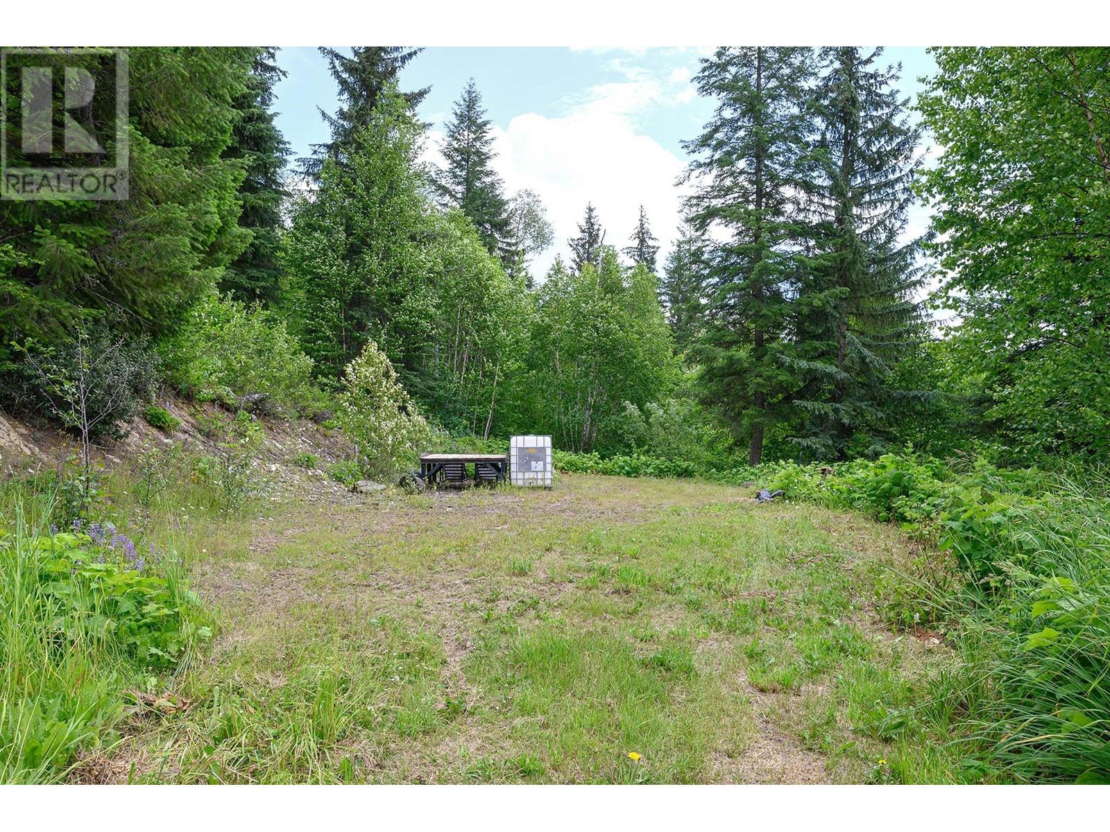 2965 Buffalo Springs Road, Barriere, British Columbia  V0E 1E0 - Photo 50 - 179606