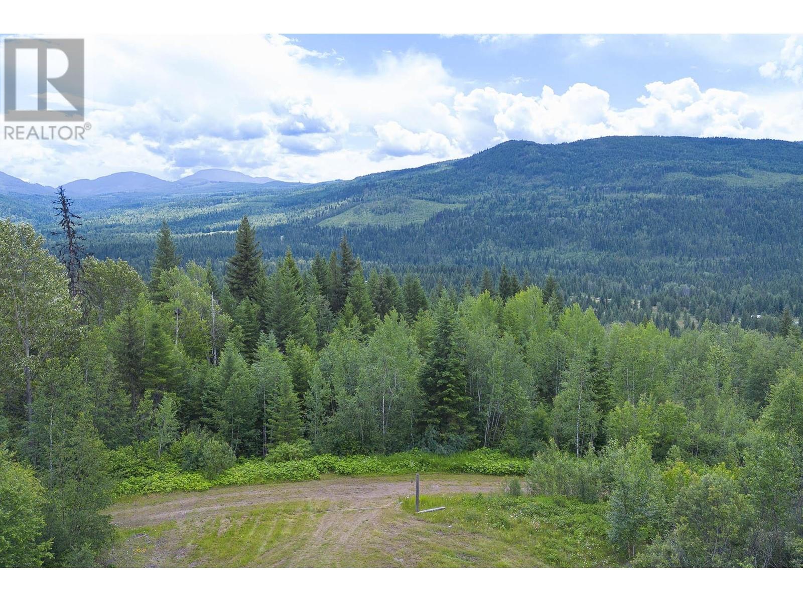 2965 Buffalo Springs Road, Barriere, British Columbia  V0E 1E0 - Photo 87 - 179606