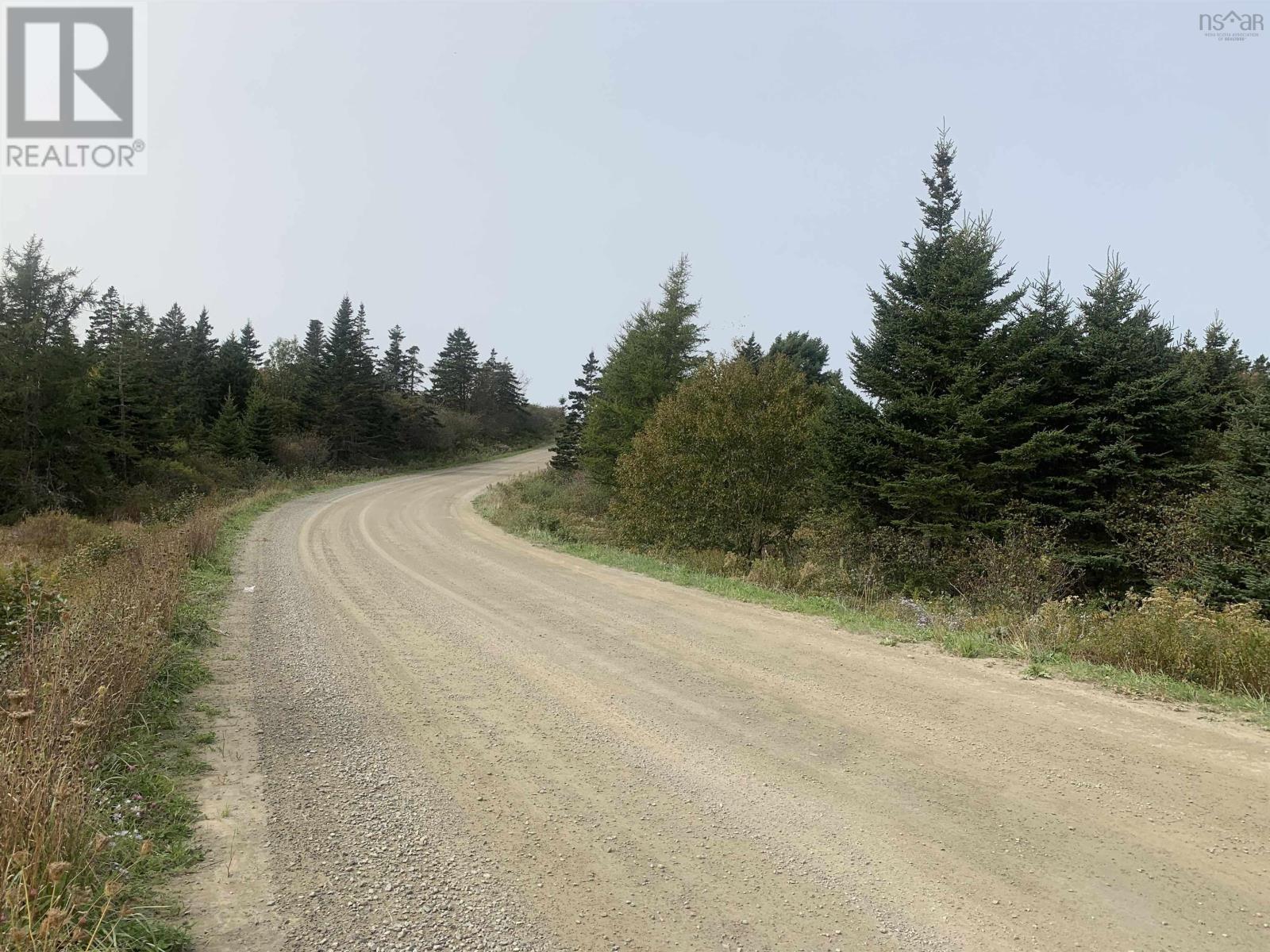 Lot C Leblanc Branch Road, Mavillette, Nova Scotia  B5A 5B3 - Photo 4 - 202415620