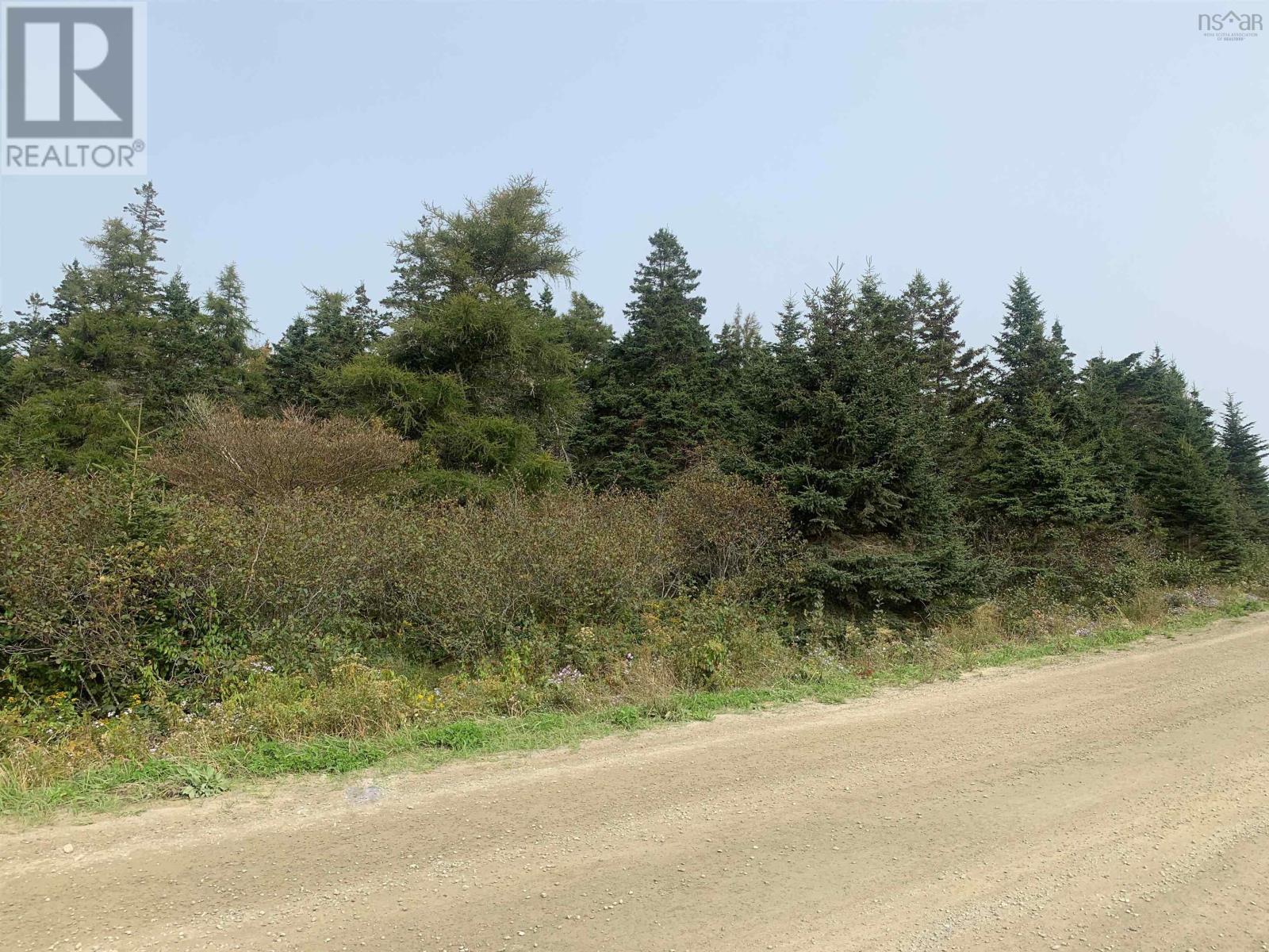 Lot C Leblanc Branch Road, Mavillette, Nova Scotia  B5A 5B3 - Photo 5 - 202415620