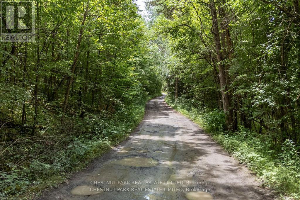 296 Green Point Lane E, Prince Edward County, Ontario  K0K 2T0 - Photo 7 - X9009570